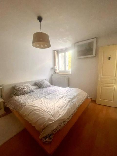 Apartamento Les Lucioles Thonon-les-Bains Exterior foto